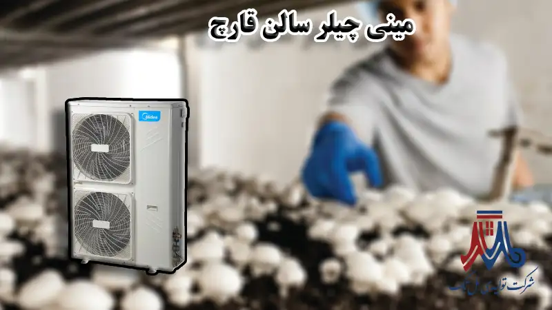 مینی چیلر سالن قارچ