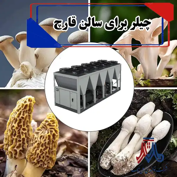 چیلر برای سالن قارچ